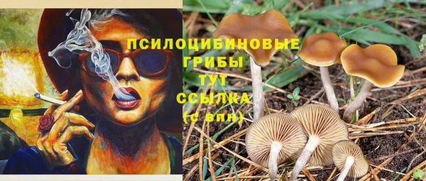 бутират Михайлов