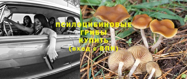 бутират Михайлов