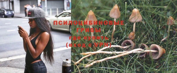 меф Михайловск