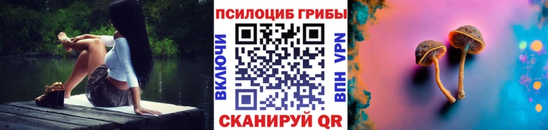Галлюциногенные грибы Psilocybe  Калининец 