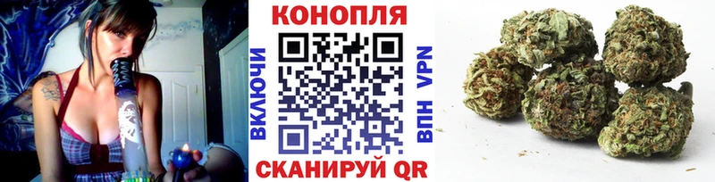 Конопля планчик Калининец